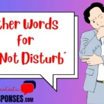 Other Words for “Do Not Disturb”