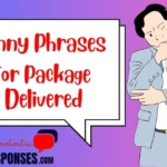 Phrases for Package Delivered