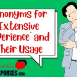 Synonyms for “Extensive Experience” and Their Usage