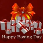 Top Clever and Thoughtful Replies to “Happy Boxing Day”