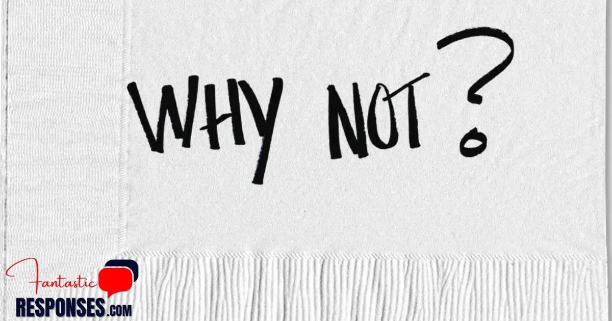 Top 60 Funny Ways to Answer “Why Not?”