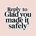 Reply to "Glad You Made It Safely"